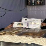 انتقالي شبوة يدشن مشروع دعم المشاريع الصغيرة للتمكين الاقتصادي لسيدات الأعمال الجنوبيات