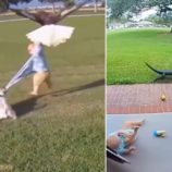 شاهد!.. هل مازالت عينك قادرة على التمييز بين الحقيقي والمصطنع؟ (فيديو)