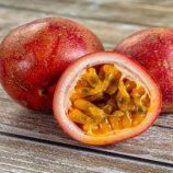 فاكهة استوائية صغيرة.. علاج واعد لشبكية العين