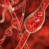 أبحاث حديثة: 4 أكواب يوميا من الشاي الأسود تخفض ضغط الدم والكوليسترول