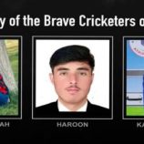 بين ملاعب الكريكيت وساحات الحرب.. 3 لاعبين أفغان يسقطون في غارة جوية