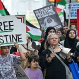 ما معنى الصمت المطبق لحركة “فلسطين الحرة” بعد وقف إطلاق النار في غزة؟