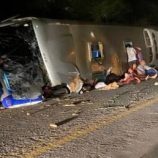 البرازيل.. مصرع 17 شخصا على الأقل في حادث انقلاب حافلة (فيديو+صور)