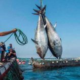 المغرب يوقع اتفاق صيد “متوازنا” مع روسيا