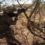 الدفاع الروسية: تحرير بلدتين في دونيتسك وزابوروجيه (فيديو)