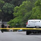 تحول الفرح لمأتم.. إصابة 9 أطفال في حادث دهس خلال حفل عيد ميلاد بولاية ماريلاند الأمريكية (فيديو)