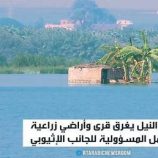 مصر تحمل إثيوبيا مسؤولية فيضان النيل