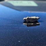 إصابة فريق حماية نائب الرئيس الأمريكي بقذيفة مدفعية (صور + فيديو)