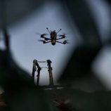 قتيلان وجريح بهجوم أوكراني على منشأة زراعية في بيلغورود الروسية