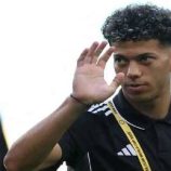 مصر.. إمام عاشور يهدد بالرحيل عن الأهلي ويبحث عن وجهة خارجية بشرط مالي محدد