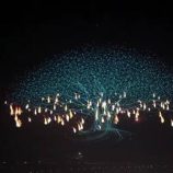 الصين تدخل موسوعة غينس بعد إطلاقها 16 ألف طائرة مسيرة دفعة واحدة في عرض مبهر (فيديو)