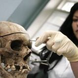 اكتشاف مذهل في ولاية إنديانا: العثور على رفات جمجمة عمرها 4200 عام