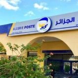 تقرير : بريد الجزائر الأكثر عرضة لجرائم تبييض الأموال