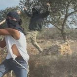 اعتداء وحشي على امرأة.. مستوطنون يهاجمون بعنف مزارعين فلسطينيين في الضفة الغربية (صور + فيديو)