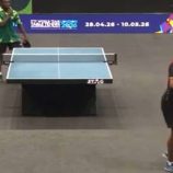 مصر.. تحرك عاجل بعد فضيحة منتخب التنس