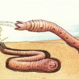 اكتشاف دودة تستخدم الكهرباء الساكنة والرياح لاصطياد الحشرات بدقة وكفاءة مذهلة!