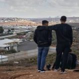 في رسالة لترامب.. الكتلة الديمقراطية بالشيوخ الأمريكي تدعم معارضة الرئيس لضم إسرائيل أجزاء من الضفة