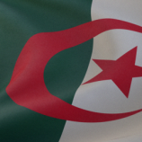 برلماني جزائري: بلادنا معنية بدخول شركات روسية إلى سوقها المحلية