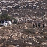 تقرير حكومي فلسطيني: الجيش الإسرائيلي ومستوطنوه نفذوا 158 اعتداء ضد قاطفي الزيتون بالضفة في أكتوبر