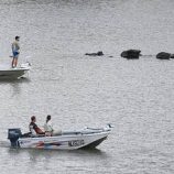 أستراليا تختار نهرا يعد موطنا للتماسيح لاستضافة منافسات أولمبية في 2032