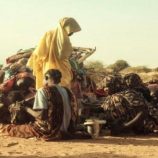 جوع السودان.. مدينة الفاشر تأكل جلودها لتبقى على قيد الحياة