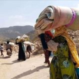 الهجرة الدولية تعلن نزوح 54 أسرة جديدة خلال أسبوع