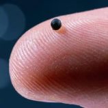 كبسولات روبوتية تذيب جلطات الدماغ بدقة