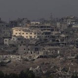 “فاو”: تدمير 80% من الأراضي الزراعية في غزة وتحذير من مجاعة وشيكة