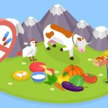 خبيرة روسية تحذّر من خطر المنتجات الحيوانية المحتوية على مضادات حيوية