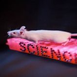 دراسة روسية تكشف تأثيرا خطيرا لمضاد الاكتئاب فلوكسيتين على خصوبة الإناث