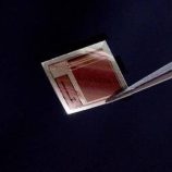 ابتكار أصغر وأسرع واجهة دماغ-حاسوب في العالم