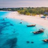 وداع إفريقيا في “أقصر حرب في التاريخ”!