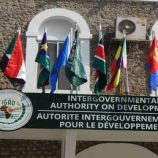 إريتريا تنسحب من “إيجاد” وسط قلق أممي إزاء التوترات مع إثيوبيا