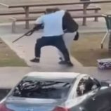 بعد أحمد الأحمد.. بطل جديد يظهر في “هجوم سيدني”