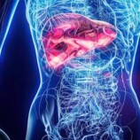 دراسة روسية.. كيف يؤثر تليف الكبد على أمراض القلب؟