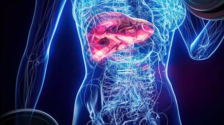 دراسة روسية.. كيف يؤثر تليف الكبد على أمراض القلب؟