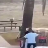 وزير خارجية سوريا يطمئن على مواطن سوري أُصيب أثناء التصدي لهجوم في سيدني (فيديو)