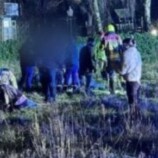 هولندا.. إصابة 10 أشخاص جراء حادث دهس بمدينة نونسبيت