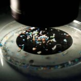 دراسة : أكواب القهوة البلاستيكية تسرّب جزيئات دقيقة للمشروبات الساخنة