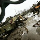 طفرات وراثية مرتبطة بكارثة تشيرنوبل تظهر بعد 40 عامًا