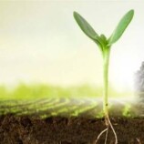 روسيا.. تطوير أسمدة ذكية قابلة للتكيف مع نوع التربة