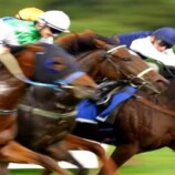 روسيا.. الذكاء الاصطناعي يحدد الخيول الأفضل للسباقات