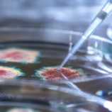 تطوير لقاح شامل ضد نزلات البرد والإنفلونزا و”كوفيد-19″