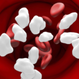 اكتشاف سر حماية سكان المرتفعات من السكري