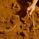 اكتشاف استثنائي في إفريقيا.. مفترس قديم بملامح أسطورية