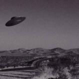 نبوءة بابا فانغا تعود إلى الواجهة بعد فتح ترامب ملفات “الأجسام الطائرة المجهولة”