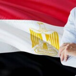 مصر.. طبيب يتسبب في بتر العضو الذكري لطفل