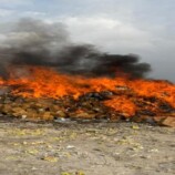 النيابة العامة تتلف 125 طنًا من المحاليل الوريدية غير المطابقة للمواصفات في المنطقة الحرة بعدن