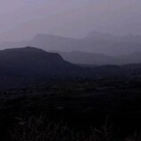 القوات المسلحة الجنوبية تحبط هجوم حوثي في جبهة كرش وتفشل محاولة تسلل