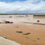 أبين.. سيول جارفة تتسبب بأضرار كبيرة في شقرة ومناشدات عاجلة لإنقاذ المدينة